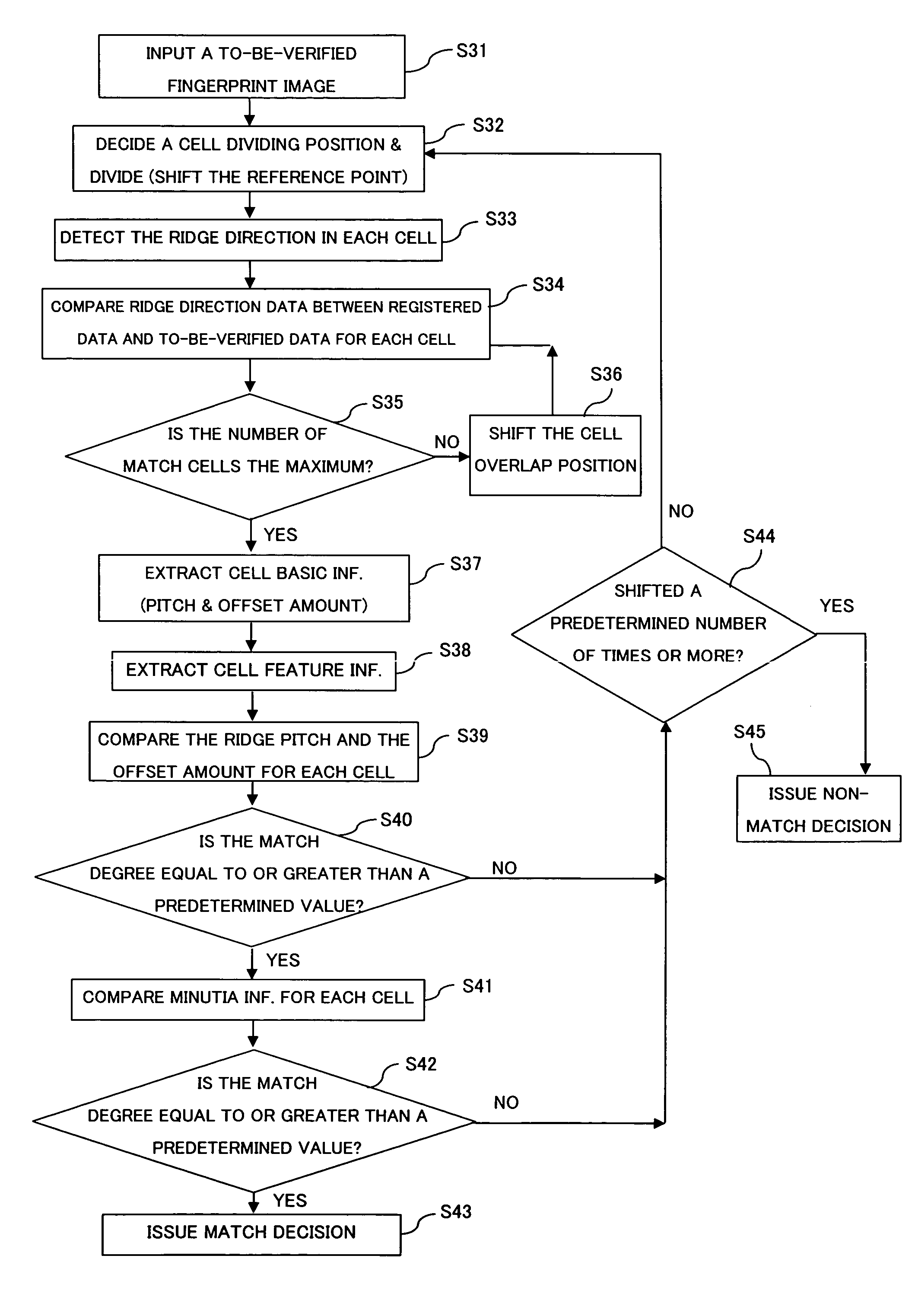 Biometric information verifying apparatus