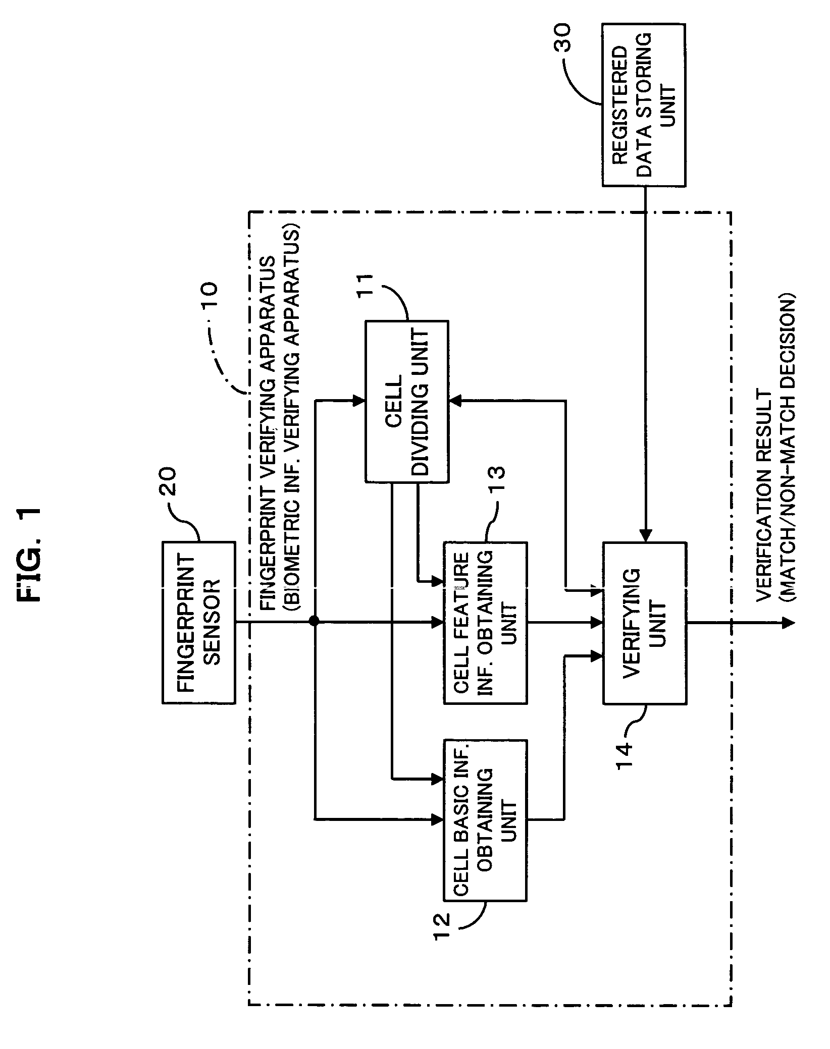 Biometric information verifying apparatus