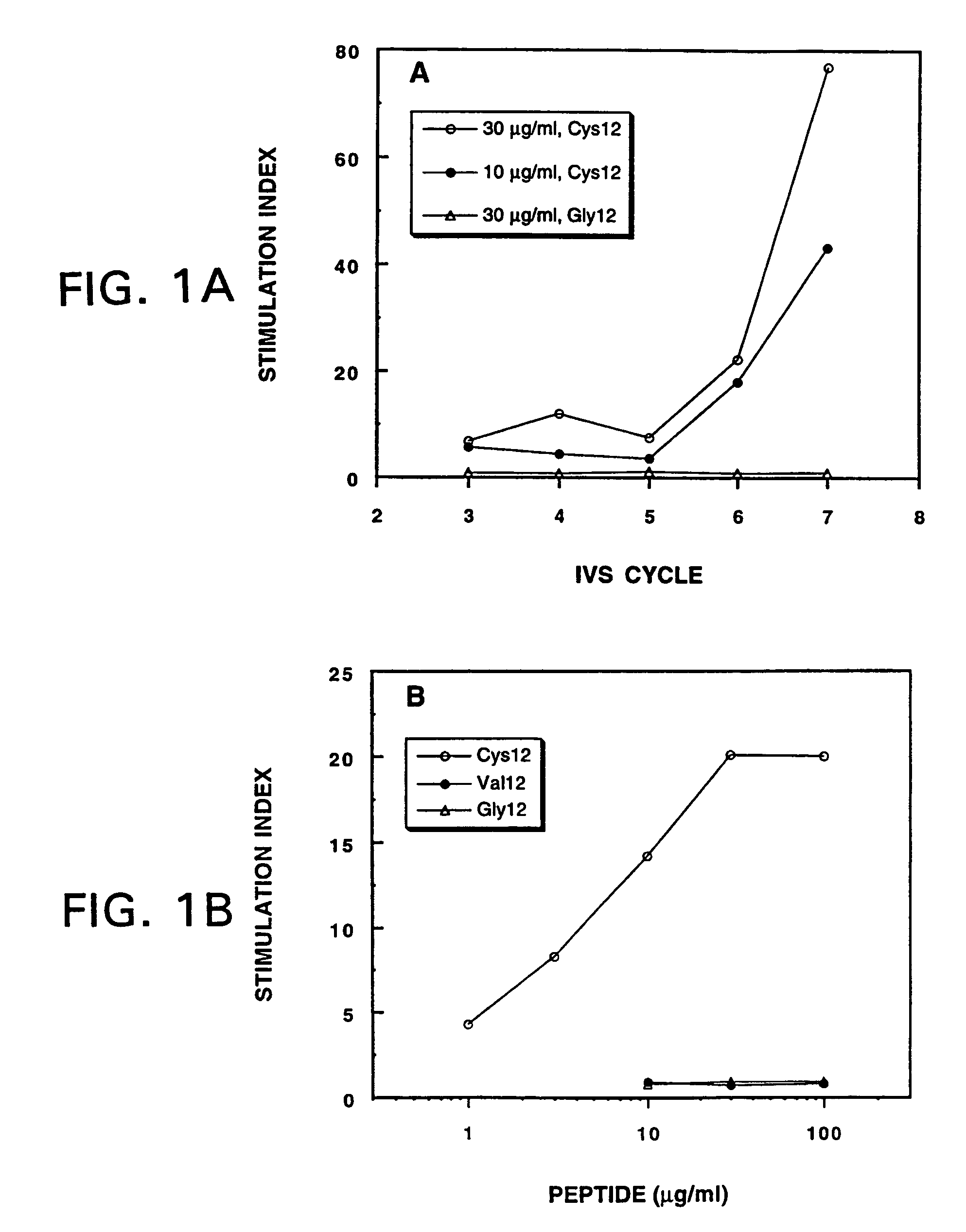 Mutated <i>ras </i>peptides for generation of CD8<sup>+</sup>Cytotoxic T lymphocytes