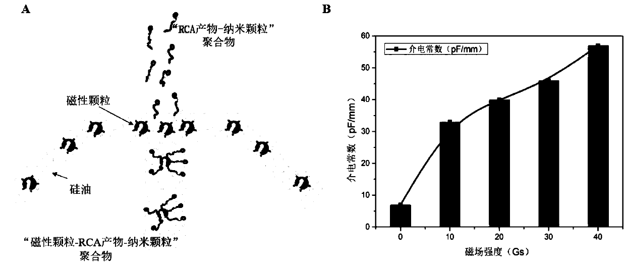 Magnetorheological fluid technology based isothermal amplification type tera-hertz multichannel microfluidic chip and method thereof for detecting pathogenic bacteria