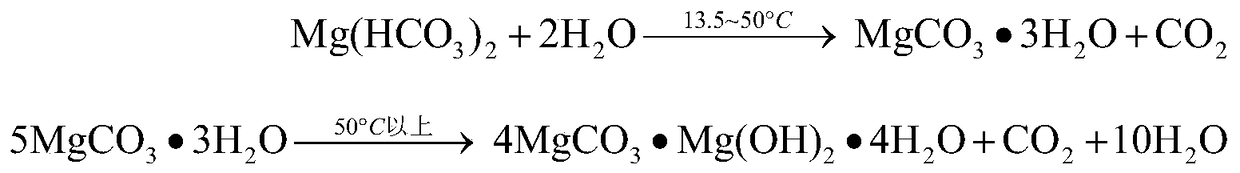 A kind of method for extracting magnesium by high-pressure carbonization