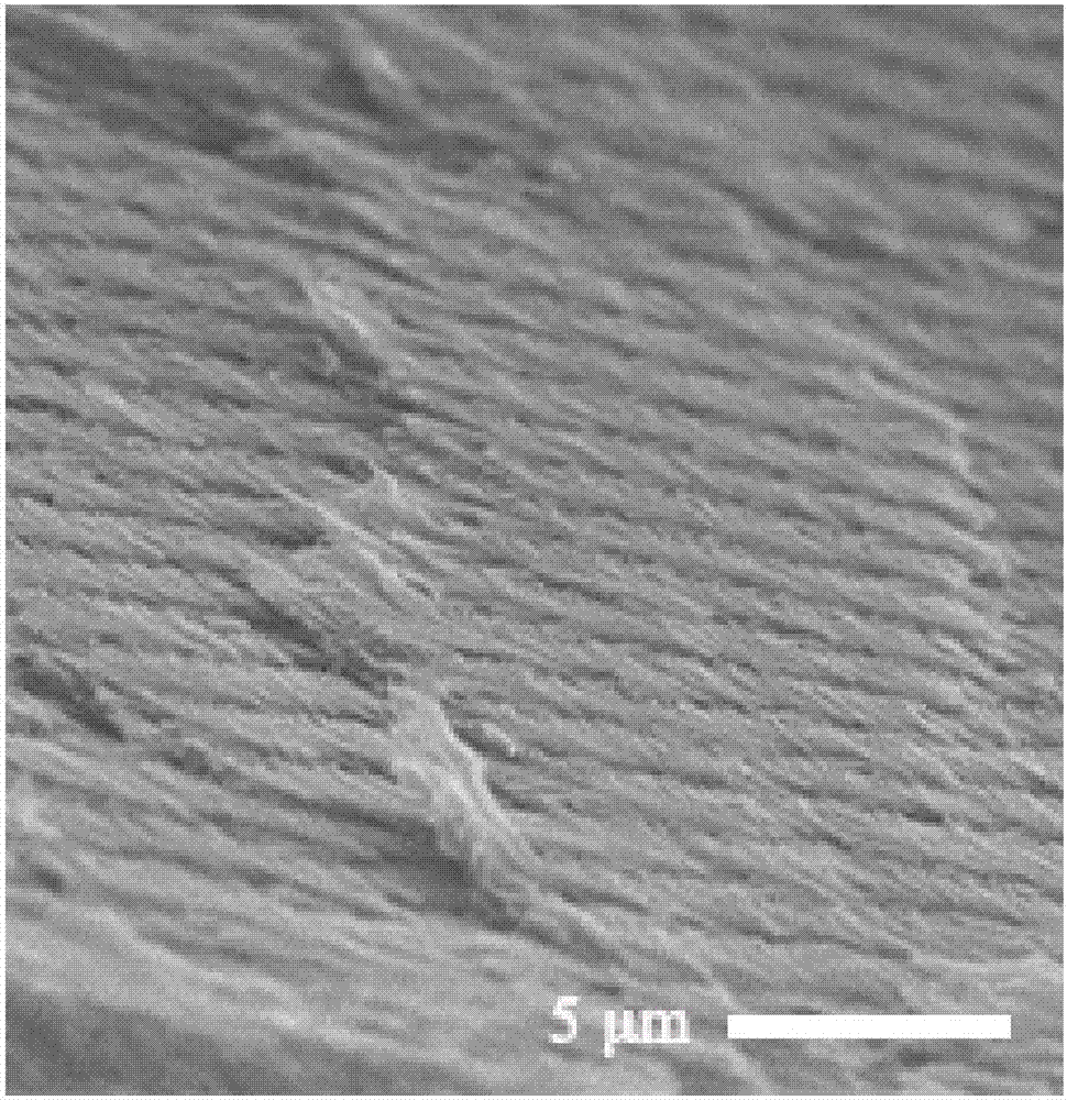 Preparation method of optical-response imprint recognition membrane