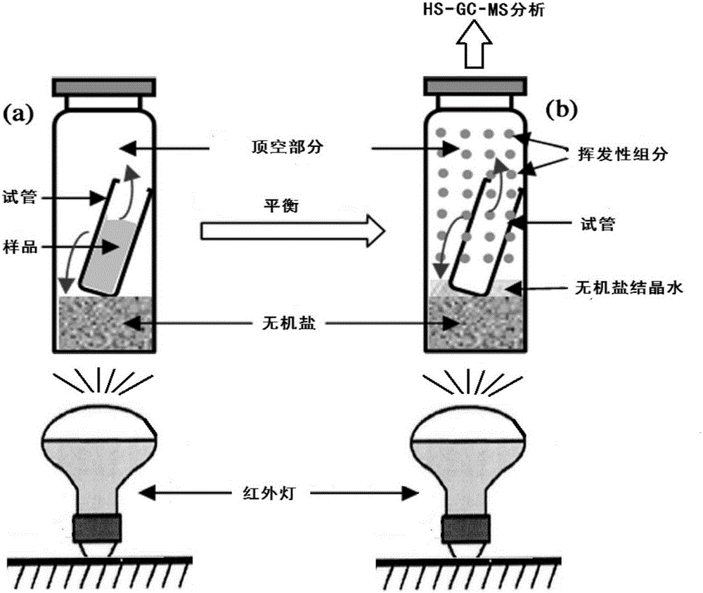 Method for determining aqueous tobacco extract by adopting online infrared-assisted hydration reaction head space-gas chromatography/mass spectrometry