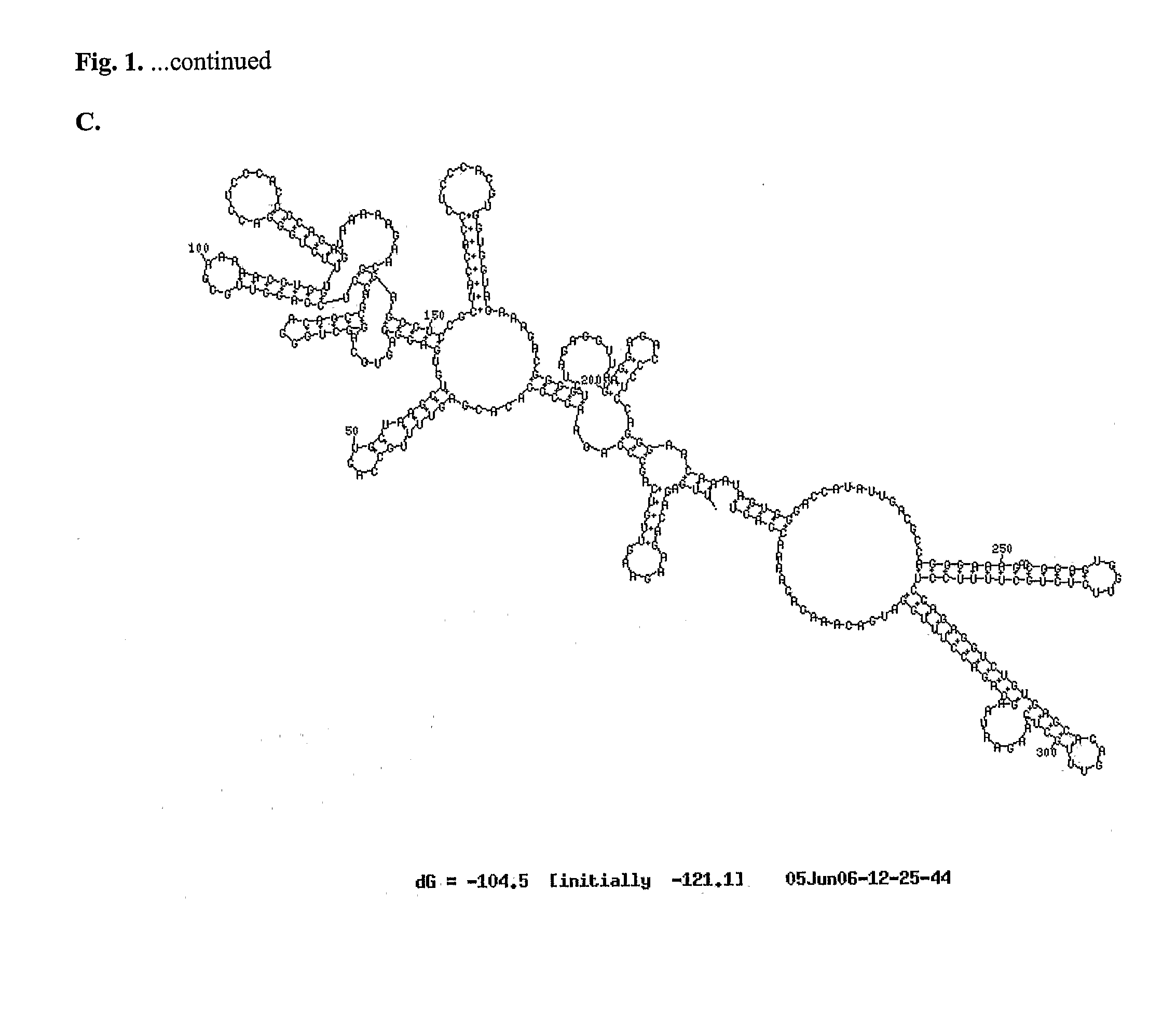 Recombinant Flavivirus Vaccines