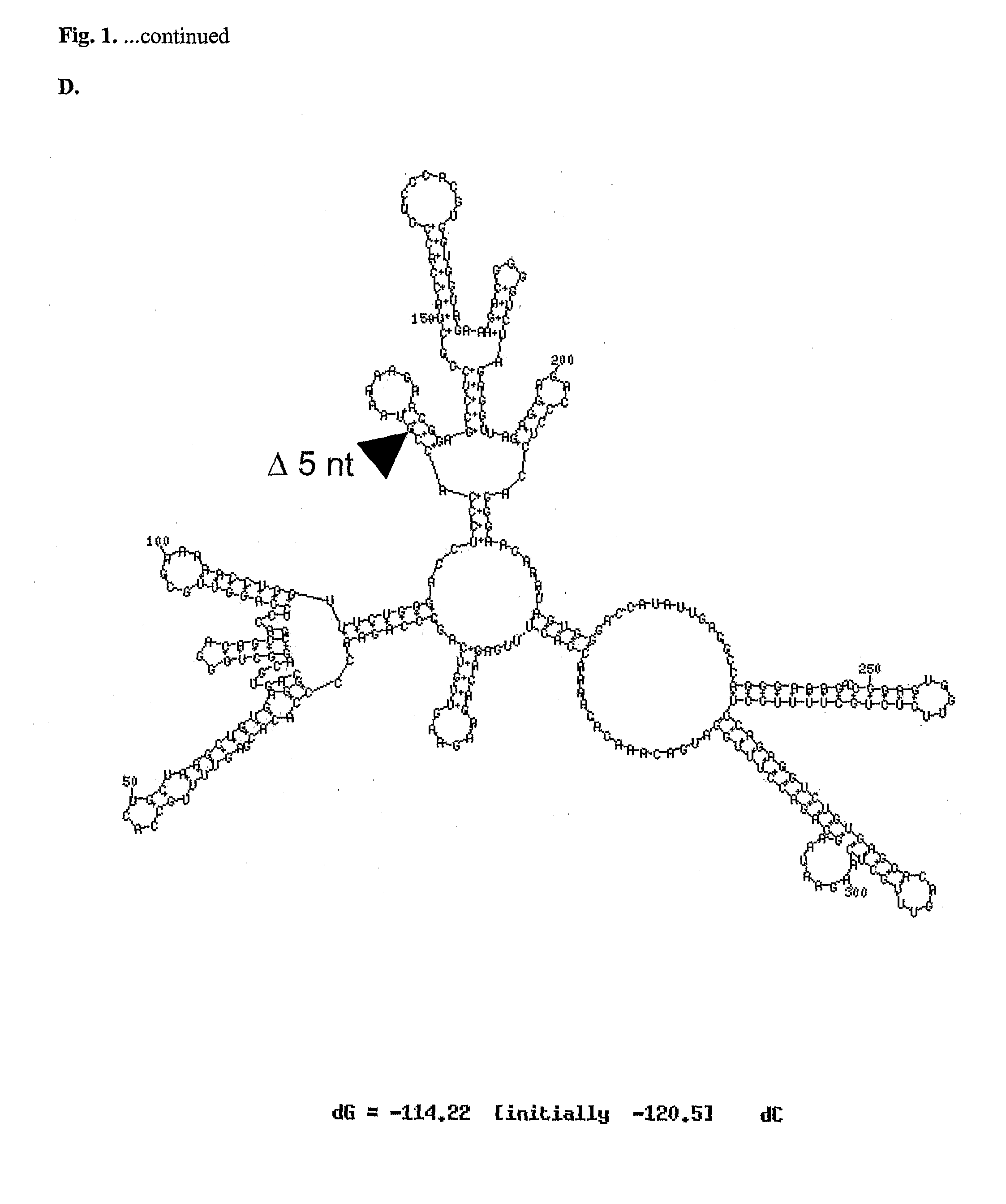 Recombinant Flavivirus Vaccines