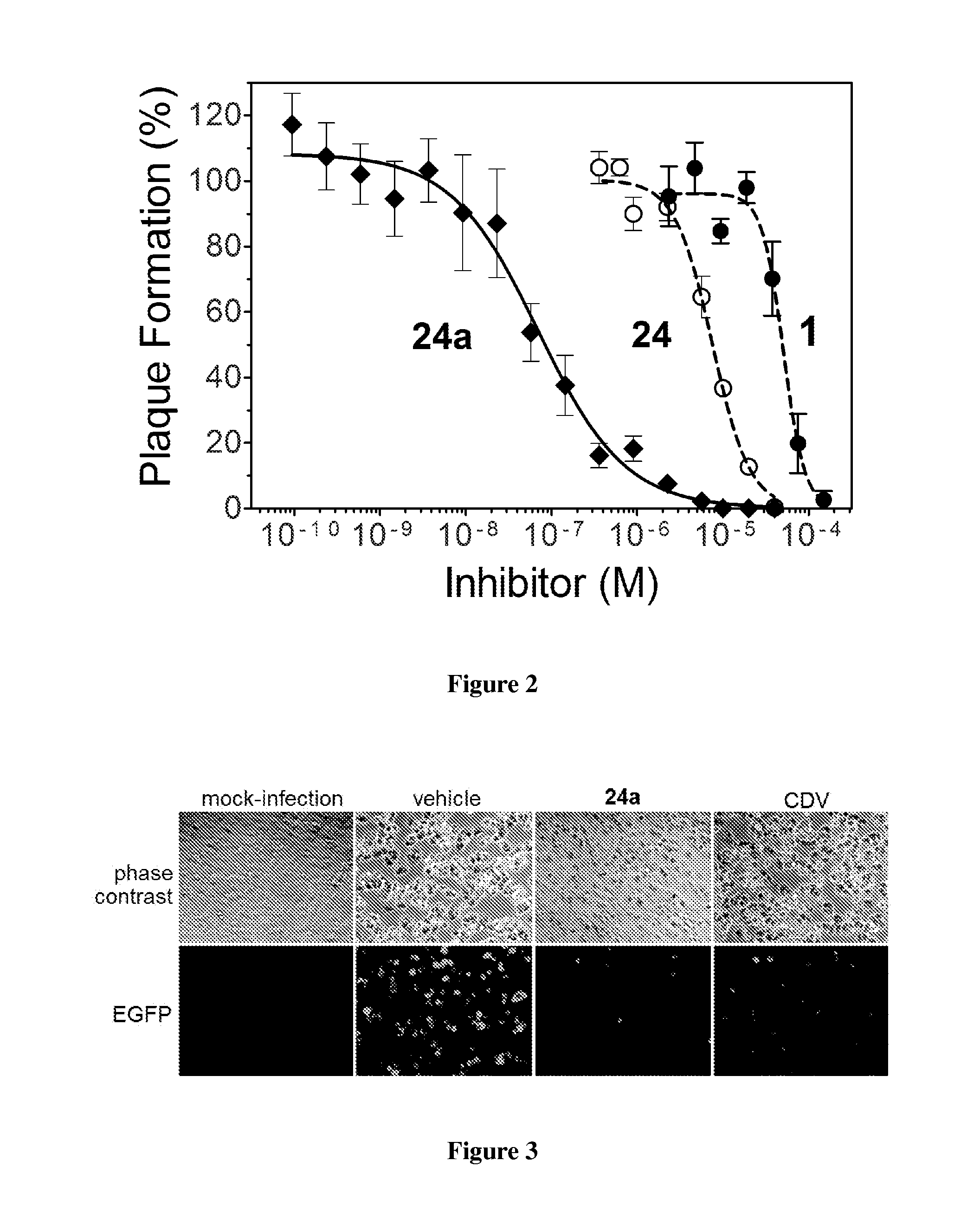 Potent poxvirus inhibitor