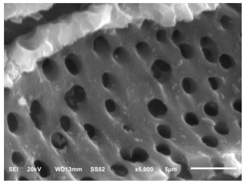 A preparation method of activated carbon-supported catalyst for electrocatalytic degradation of organic wastewater