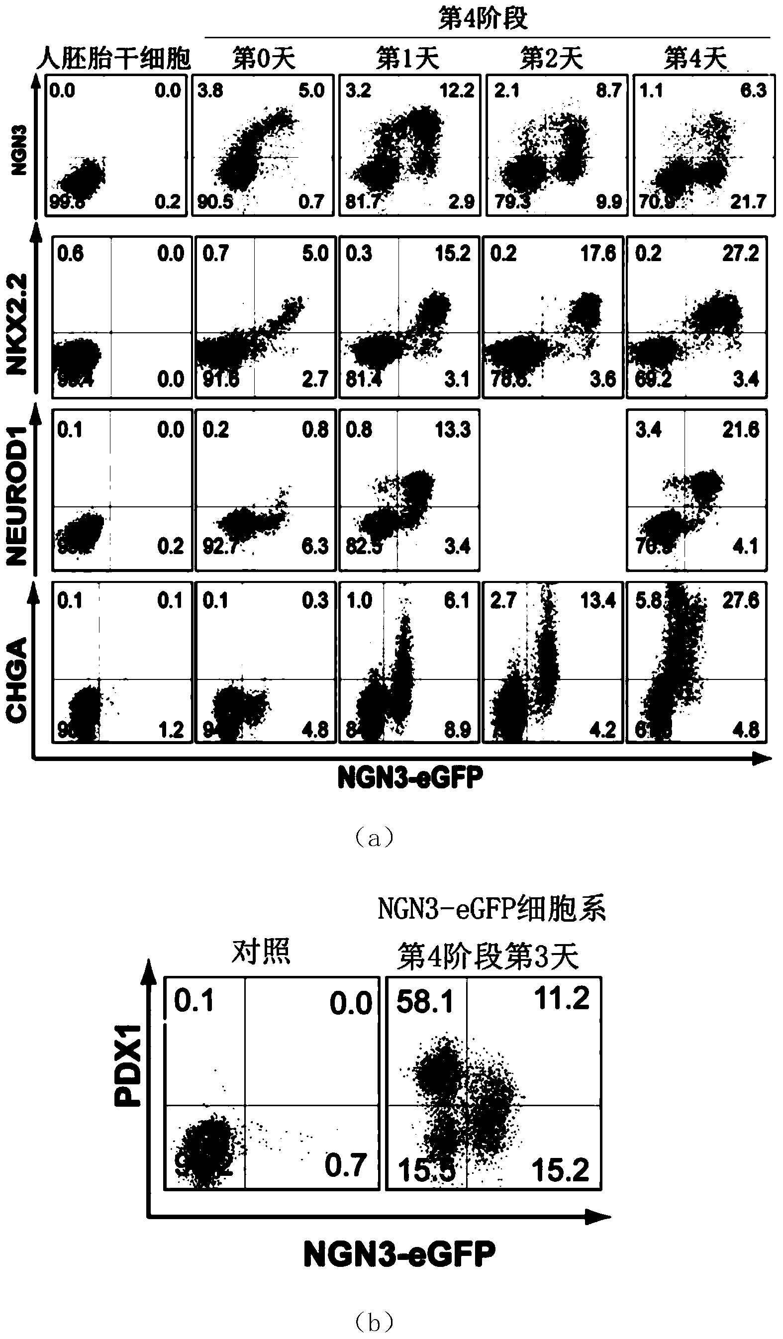 Application of SUSD2 protein as marker