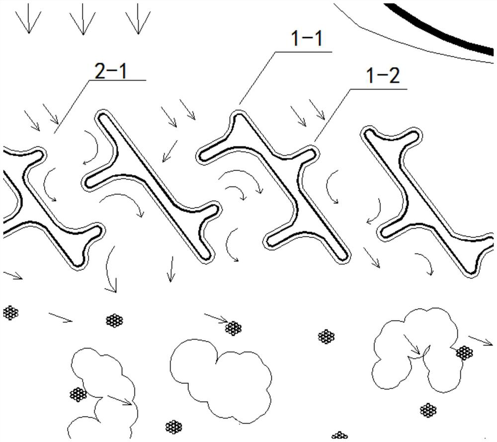 The mirror structure of fish life in the catchment area impacted by river currents