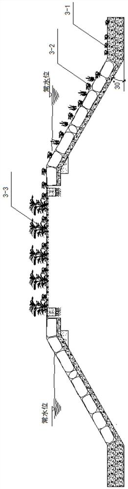 The mirror structure of fish life in the catchment area impacted by river currents