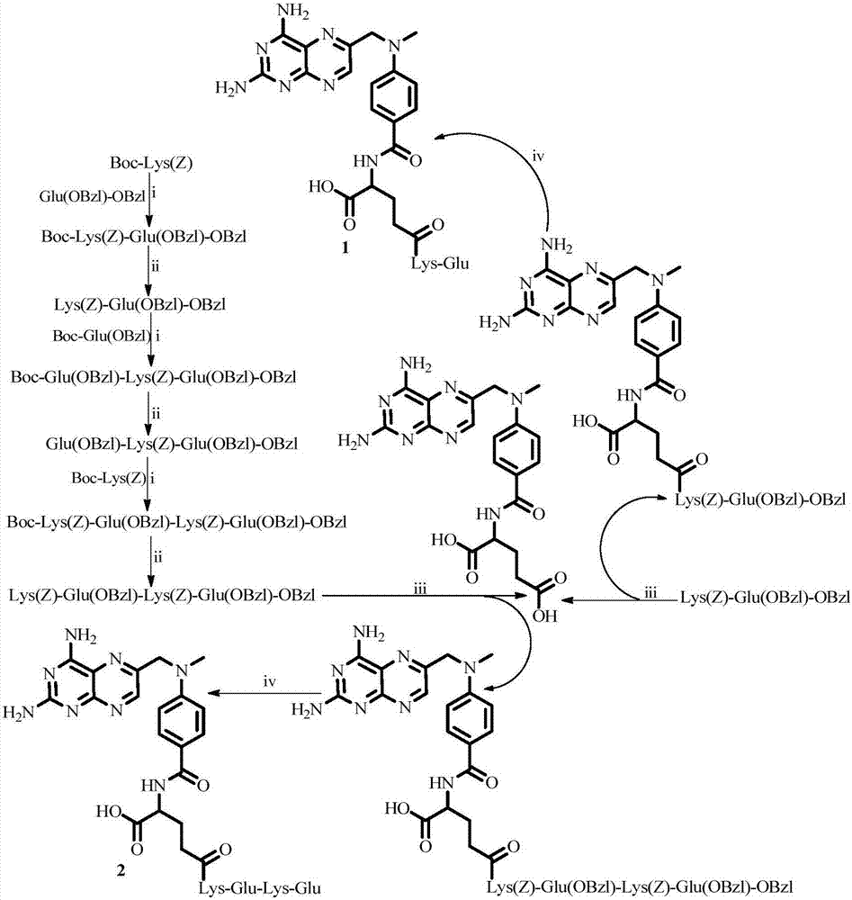 2, 4-diamido-6-pteridine methyl methylamino aminobenzene benzoyl-Glu-peptide, and compound, activity and application thereof