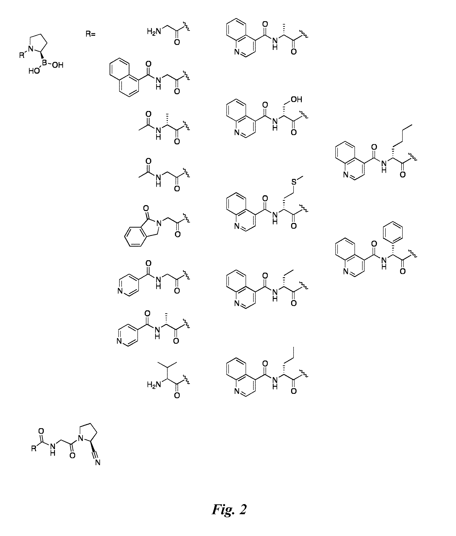 Targeted Drug Conjugates