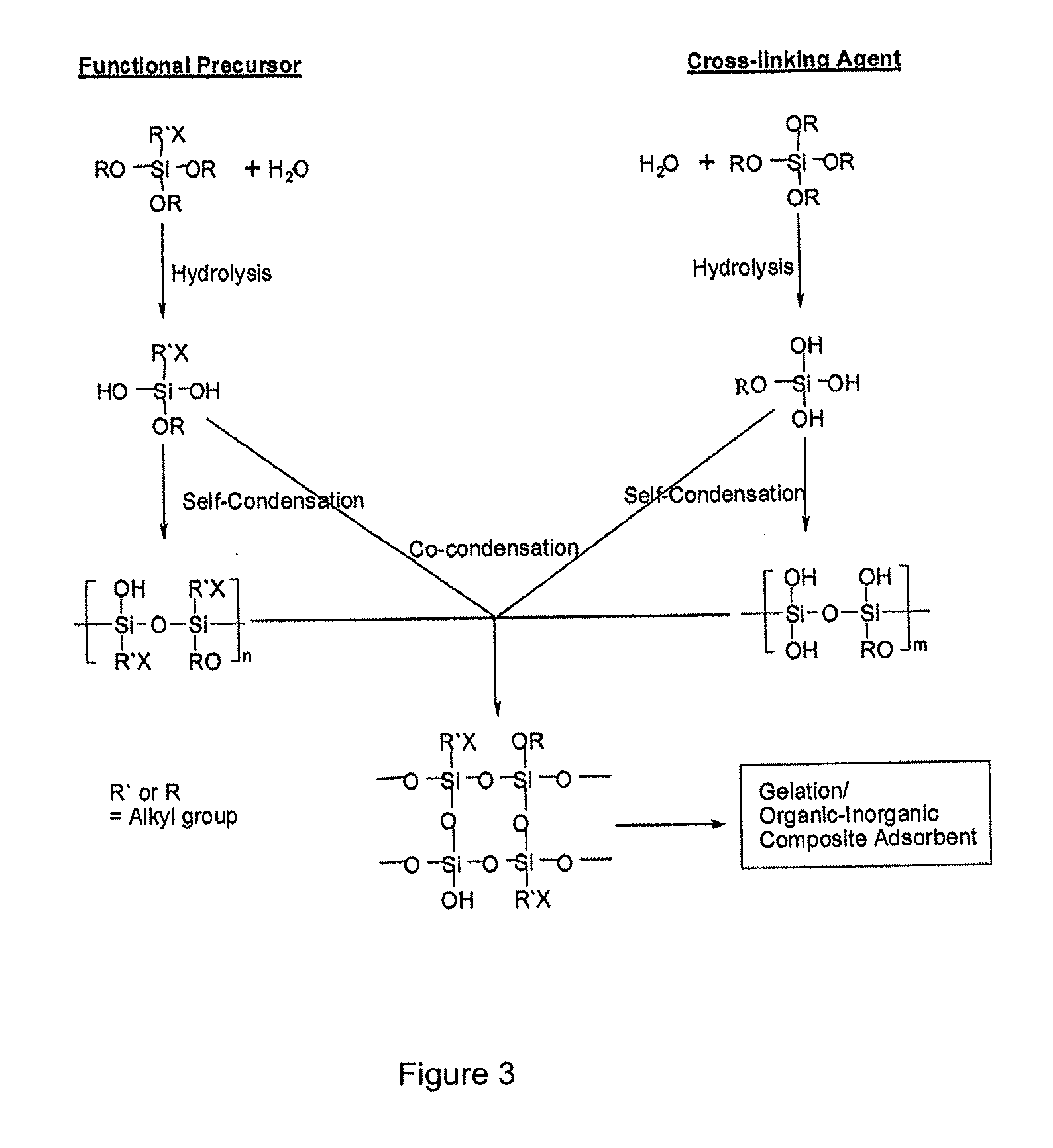 Rare earth elements separation using phosphorus based adsorbent