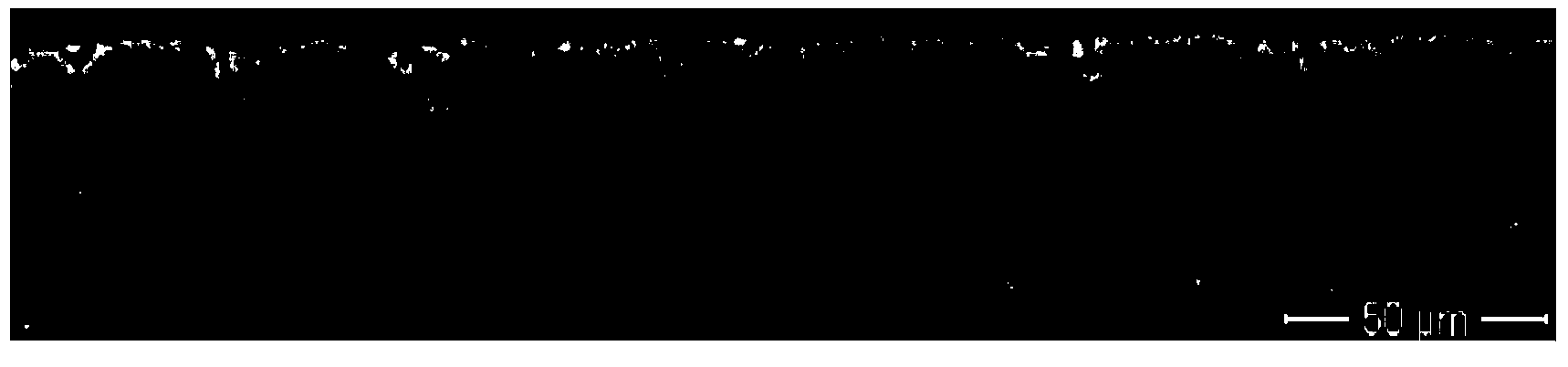 Preparation method of sample for detecting sub-surface damage depth of ultra-thin silicon wafer