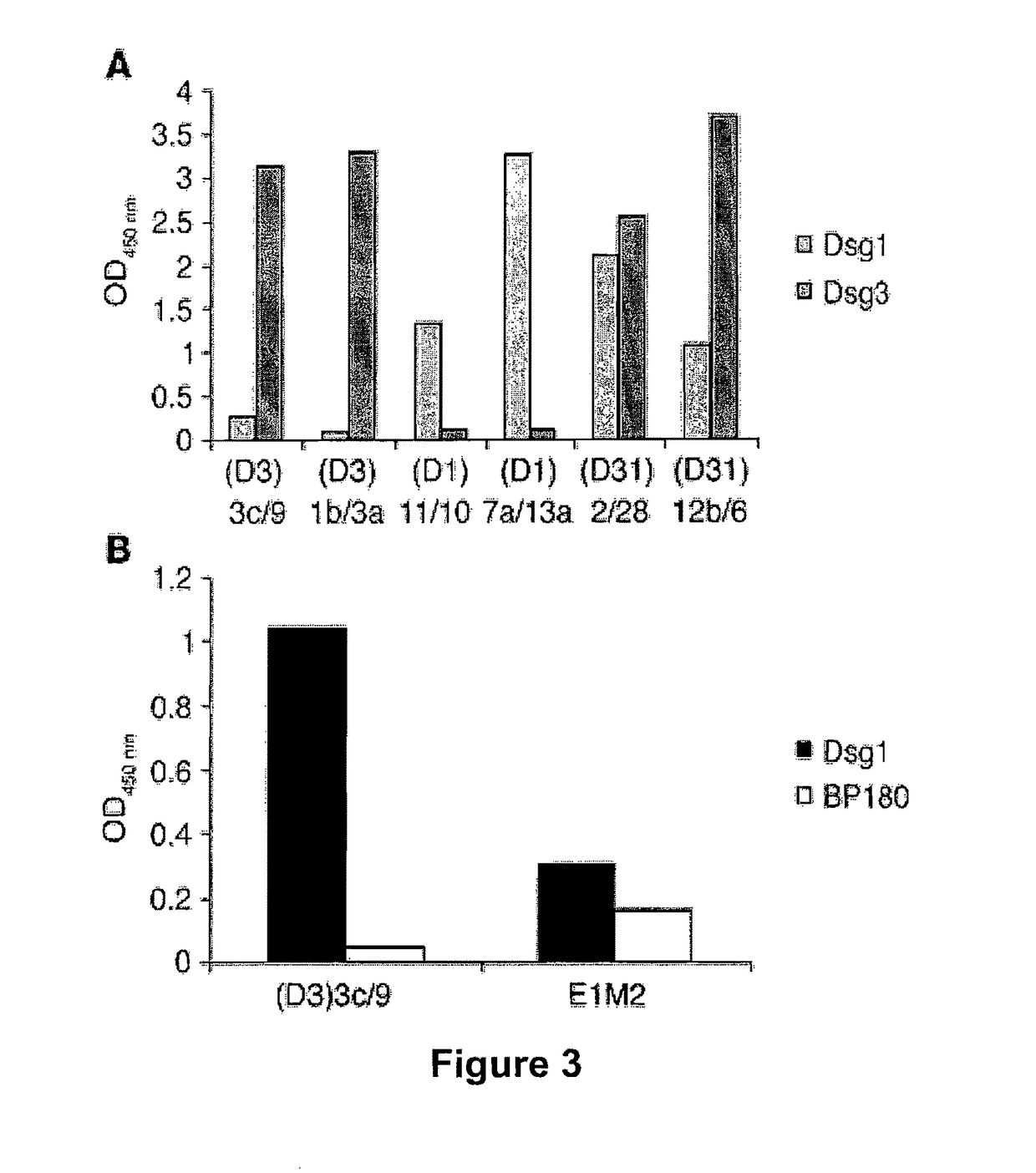 Drug delivery to human tissues by single chain variable region antibody fragments cloned by phage display