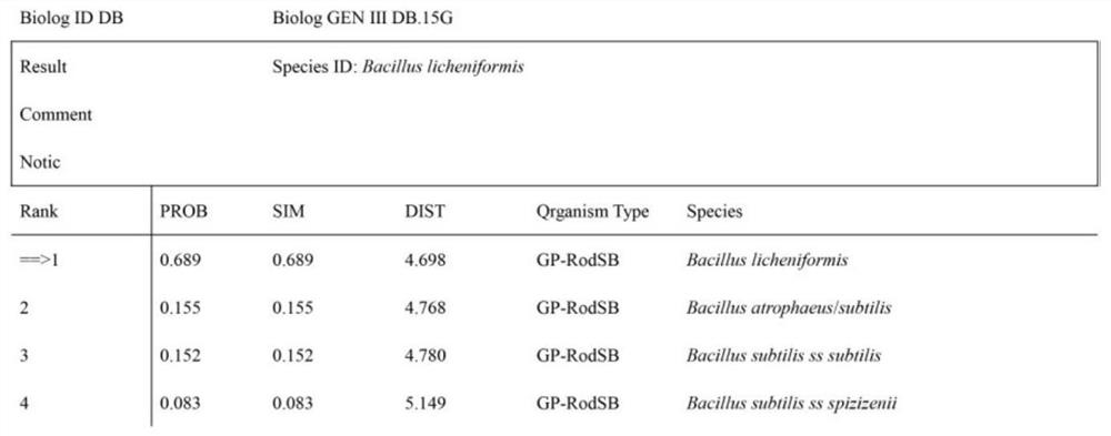 Bacillus licheniformis XNRB-3 and application thereof