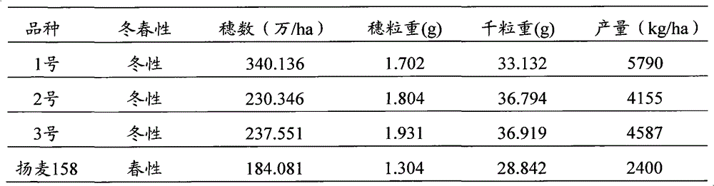 Method for increasing southern wheat yield per unit area