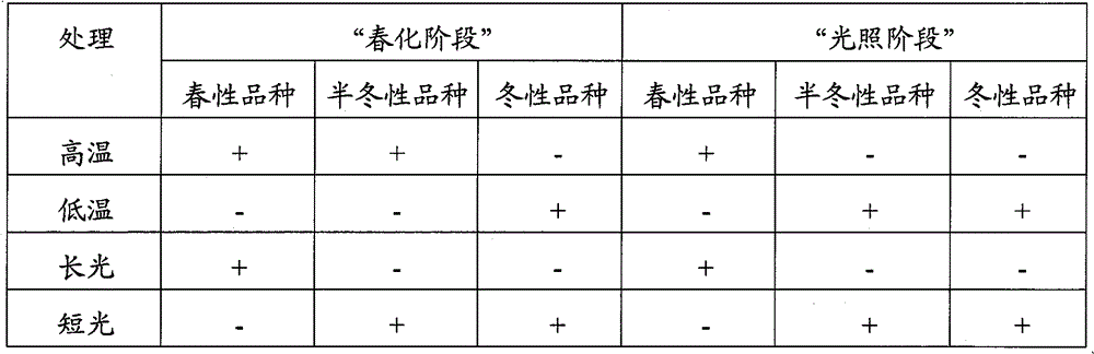 Method for increasing southern wheat yield per unit area