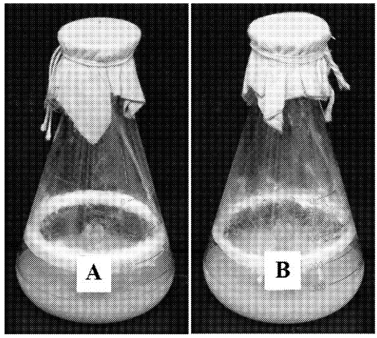 Method for preparing a degradable material