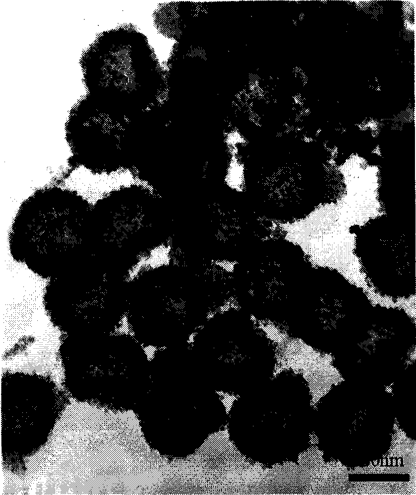 Hollow silicon dioxide/magnetic composite microsphere and its production method