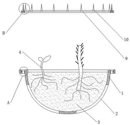 A kind of urban green belt modular cultivation device and construction method