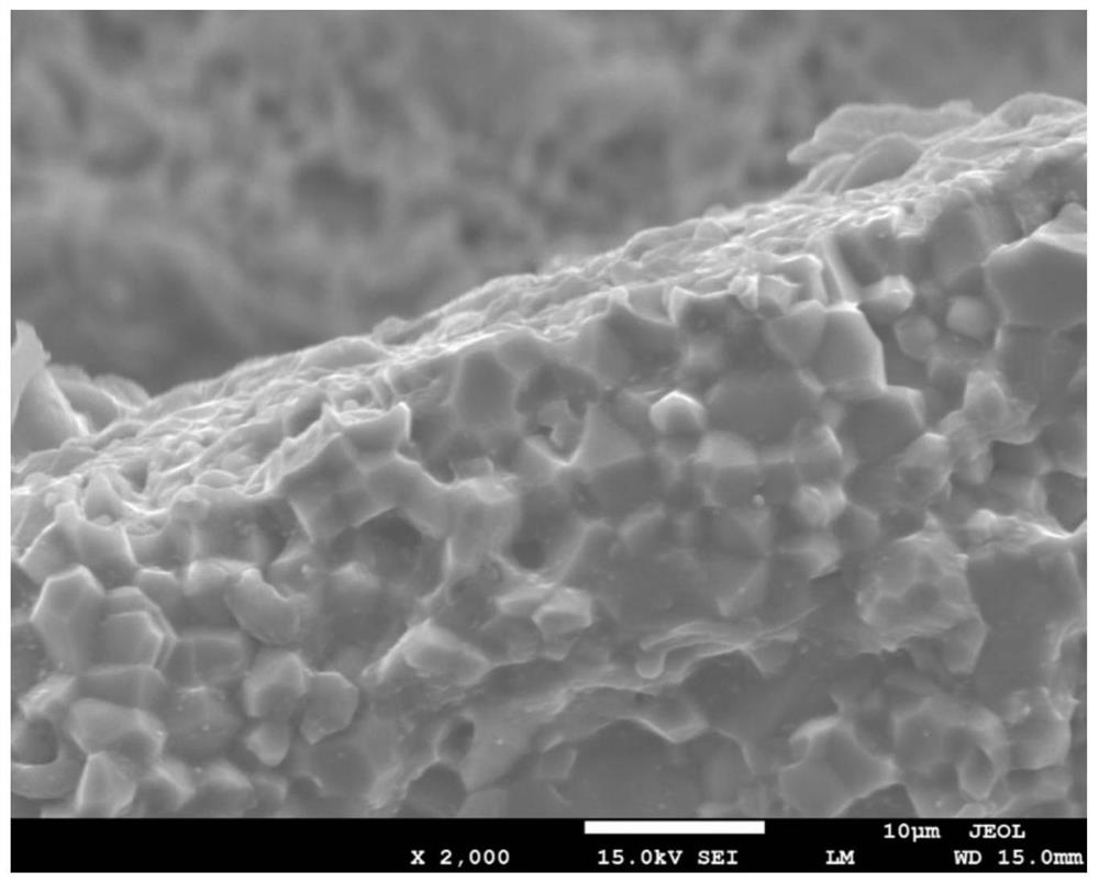 Method for multi-arc ion plating of titanium film on surface of AlN ceramic matrix