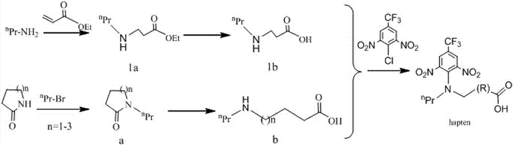 Trifluralin haptens, as well as preparation method and application thereof