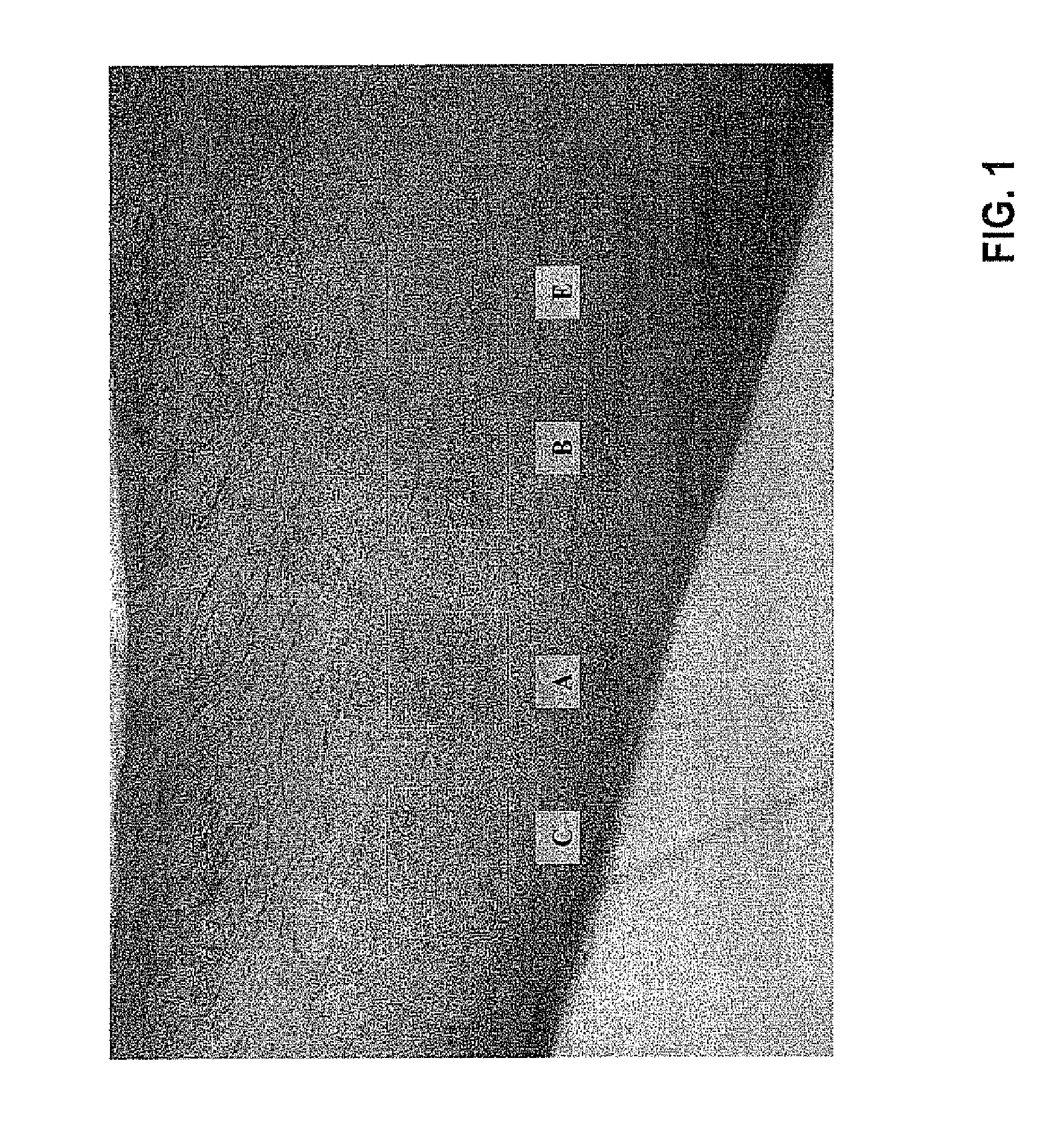 Compositions for topical application comprising a peroxide and retinoid