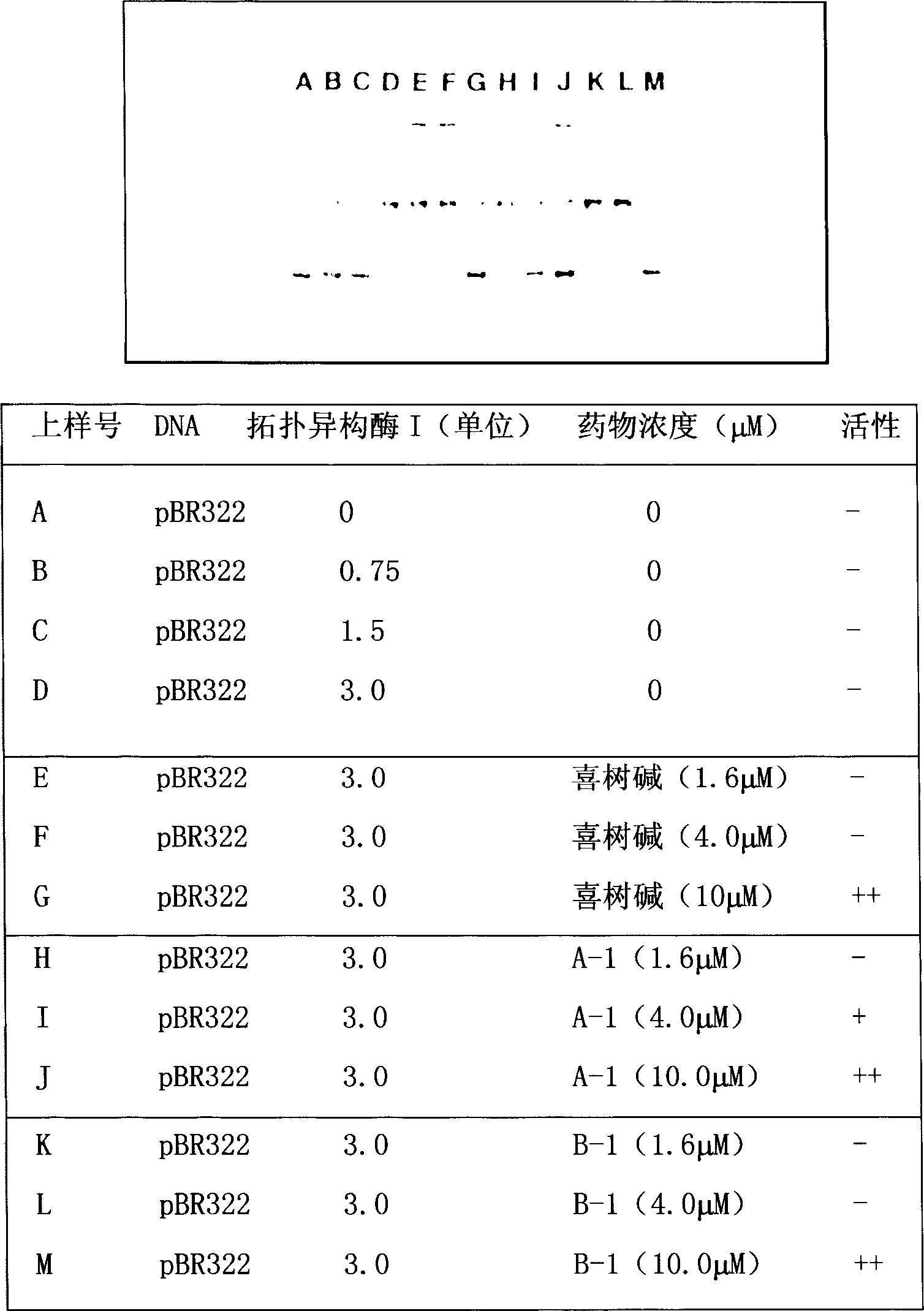 Application of acetyl boswellic acid in preparing antitumor agent