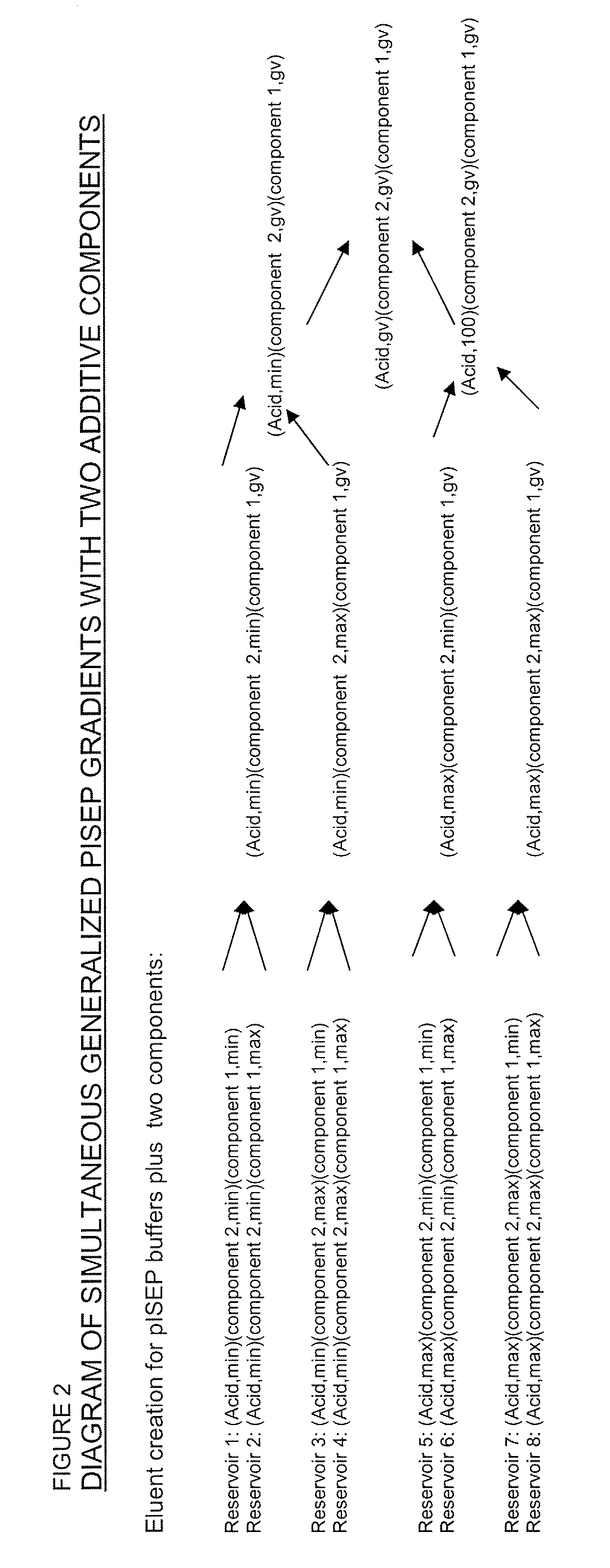 Multi-Component, Simultaneous, Independent Multi-Gradient System for Liquid Chromatography