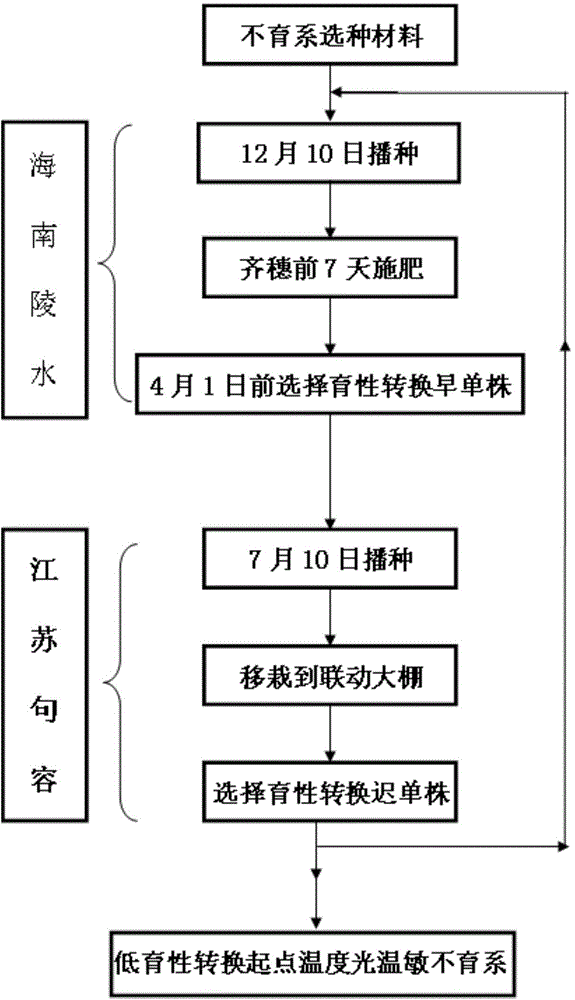 Low-fertility-transition-starting-point temperature photo-thermo-sensitive sterile line breeding method