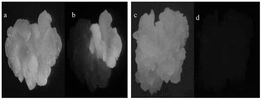 Efficient transgenic method for maize skeleton inbred lines