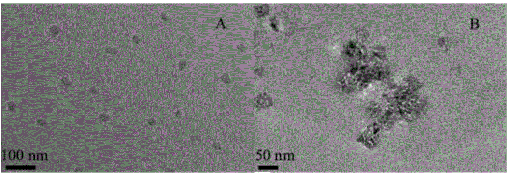 Disposable nanometer electrogenerated chemiluminescence two-component immune sensor and preparation method thereof