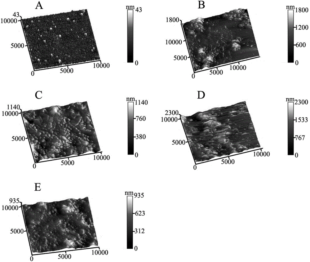 Disposable nanometer electrogenerated chemiluminescence two-component immune sensor and preparation method thereof