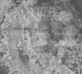 Preparation method for modified ternary metal bulk phase catalyst added with accessory ingredients