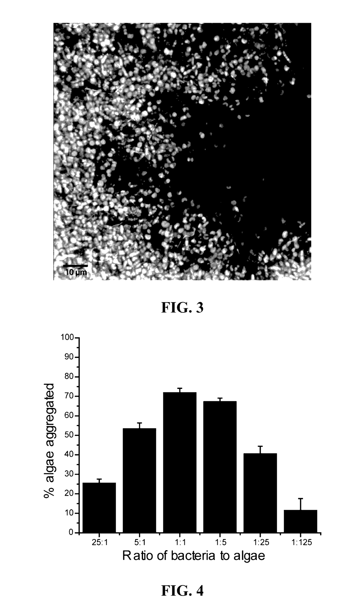 Compositions and methods for collecting algae