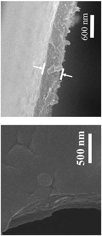 Method for preparing high-crystallinity covalent organic framework film by using ionic liquid-water interface