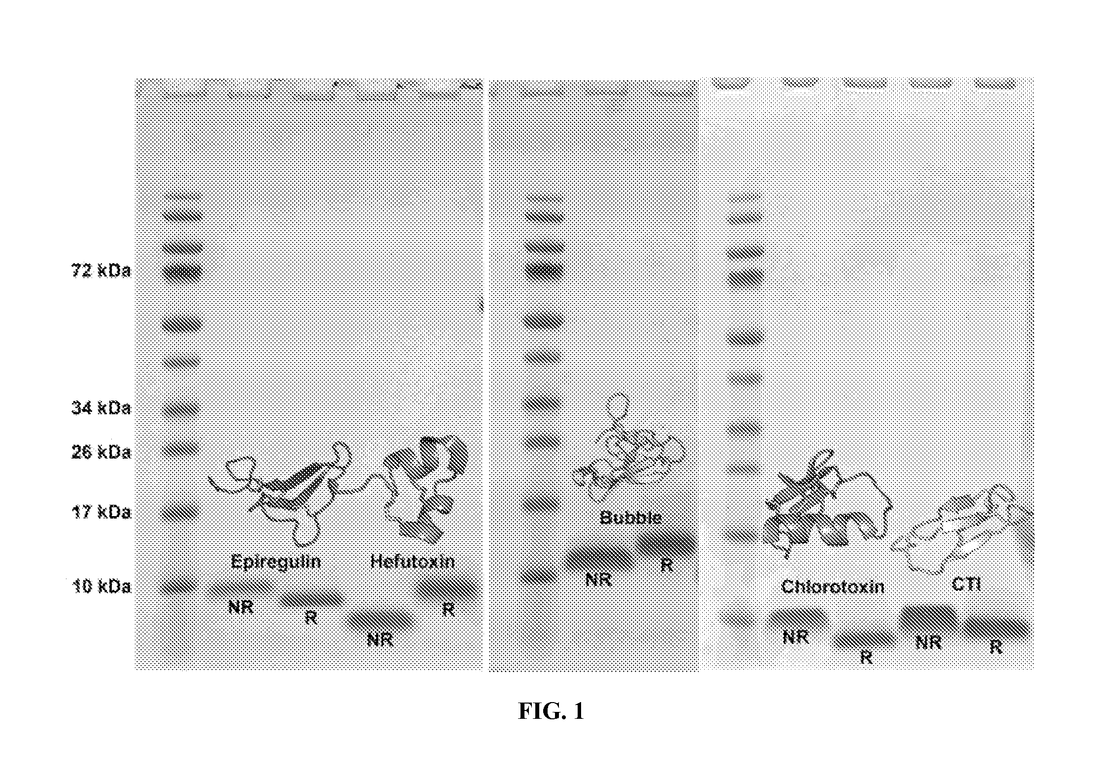 Drug discovery methods and platforms