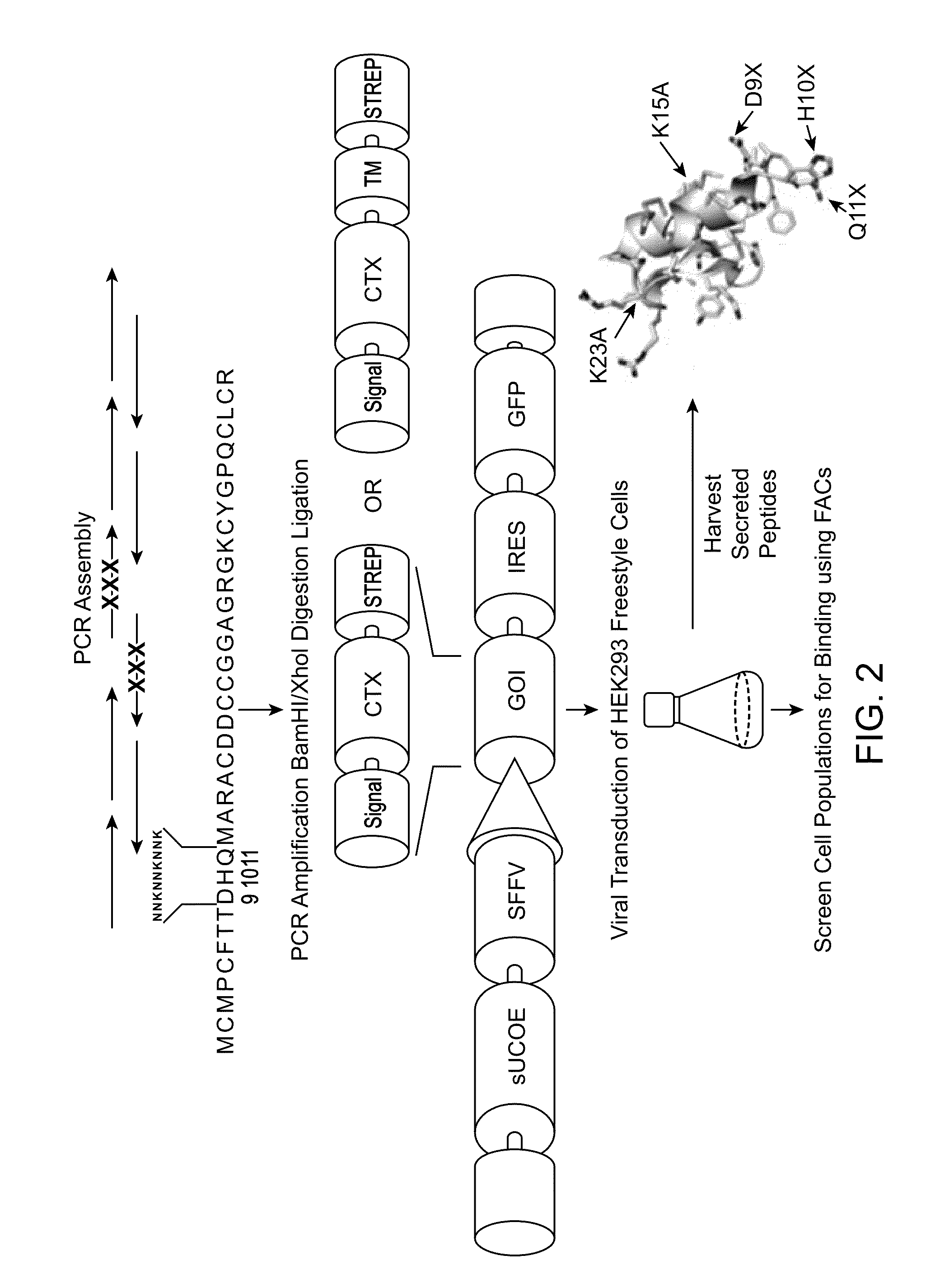 Drug discovery methods and platforms