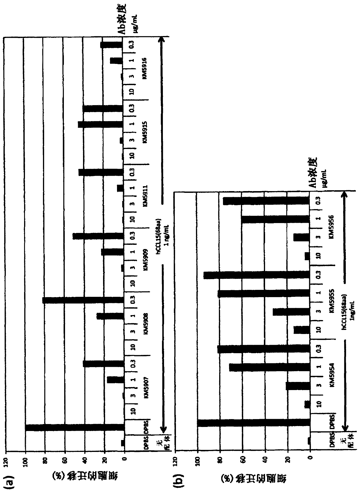 Anti-human ccr1 monoclonal antibody