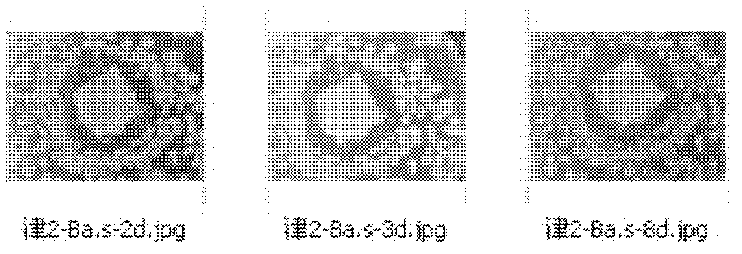 Bacteriostatic, hygroscopic and calcium ion-contributing wound dressings