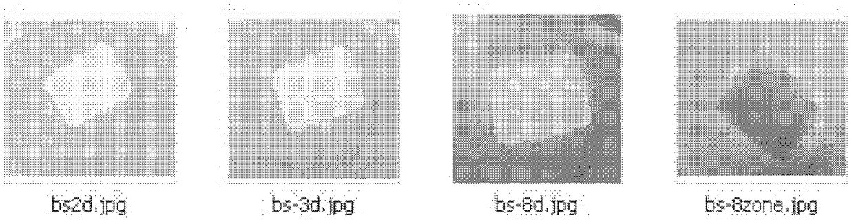 Bacteriostatic, hygroscopic and calcium ion-contributing wound dressings