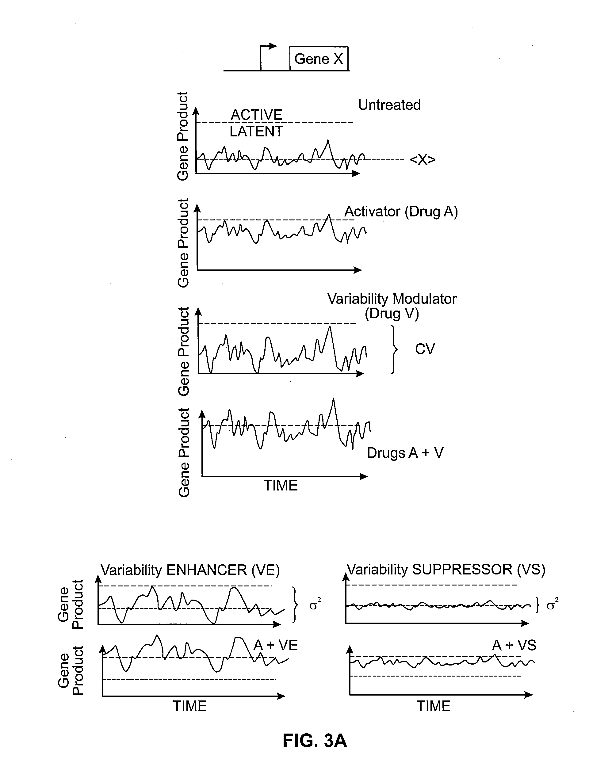 Compositions, systems and methods for gene expression noise drug screening and uses thereof