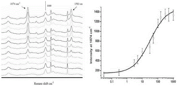 Immunochromatographic detection method of Norovirus Raman microprobe labeling