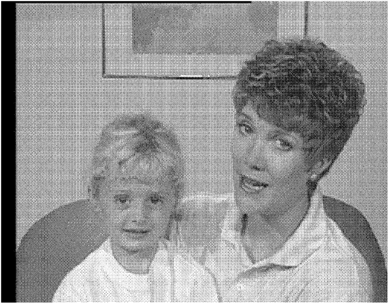 A Fast Fractal Video Compression and Decompression Method