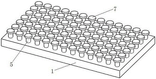 Preparation method for super-oleophobic micro-cylindrical array surface texture