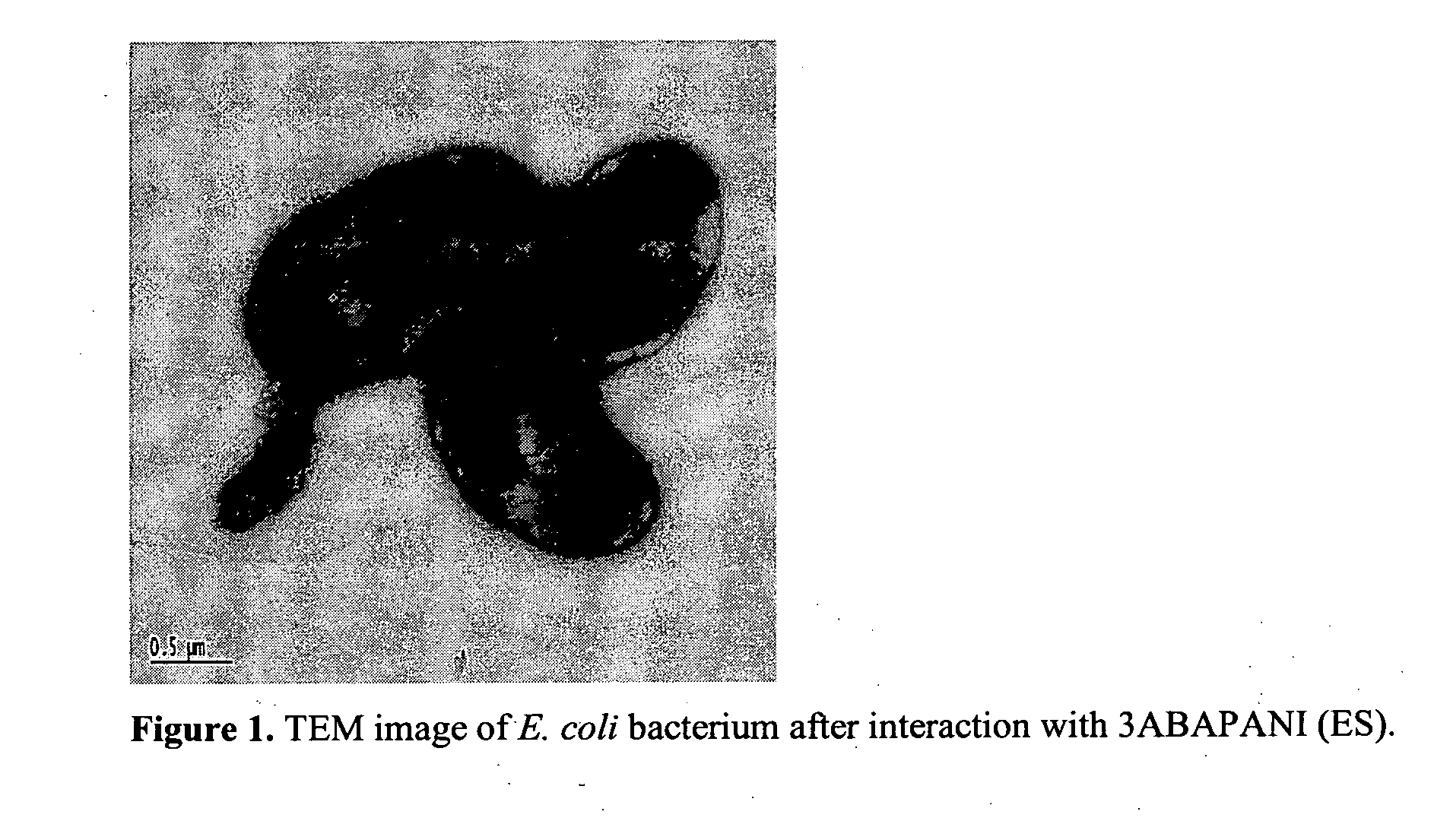 Bioactive aniline copolymers