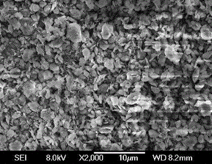 Diatomite decoration brick and molding method thereof