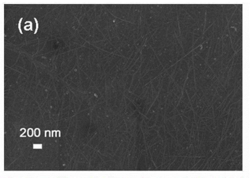 Preparation method of gas sensitive sensor based on carbon nano tube-polypyrrole complex network structure