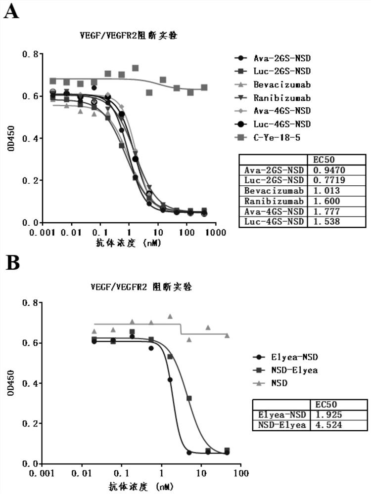 Anti-VEGF/PD-L1 bispecific antibody and application thereof